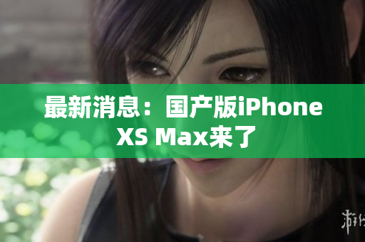 最新消息：国产版iPhone XS Max来了