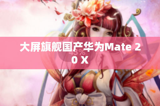 大屏旗舰国产华为Mate 20 X