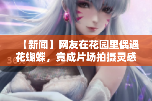 【新闻】网友在花园里偶遇花蝴蝶，竟成片场拍摄灵感