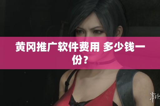 黄冈推广软件费用 多少钱一份？