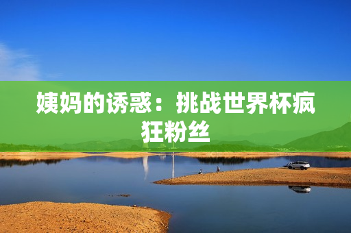 姨妈的诱惑：挑战世界杯疯狂粉丝