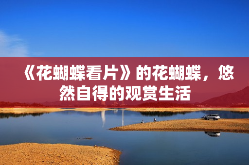 《花蝴蝶看片》的花蝴蝶，悠然自得的观赏生活