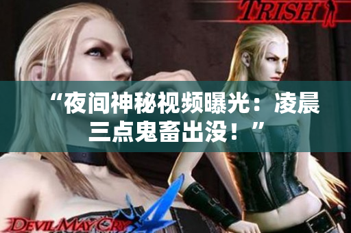 “夜间神秘视频曝光：凌晨三点鬼畜出没！”
