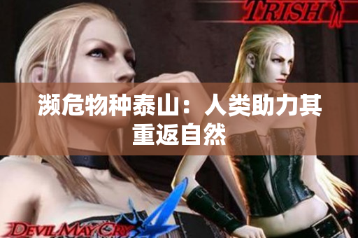濒危物种泰山：人类助力其重返自然