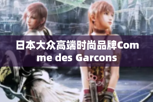 日本大众高端时尚品牌Comme des Garcons