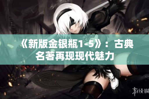 《新版金银瓶1-5》：古典名著再现现代魅力