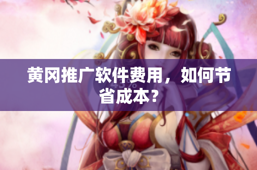 黄冈推广软件费用，如何节省成本？