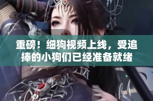 重磅！细狗视频上线，受追捧的小狗们已经准备就绪