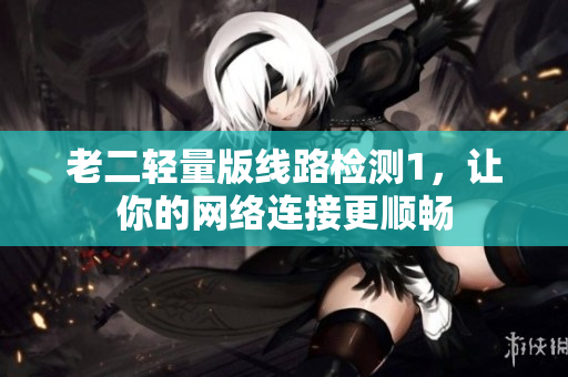 老二轻量版线路检测1，让你的网络连接更顺畅