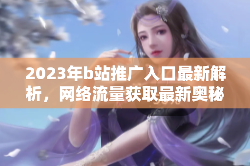 2023年b站推广入口最新解析，网络流量获取最新奥秘