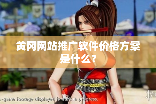 黄冈网站推广软件价格方案是什么？