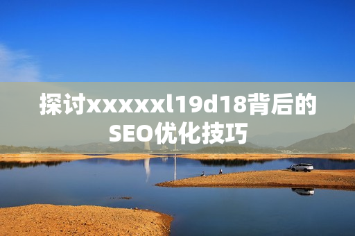 探讨xxxxxl19d18背后的SEO优化技巧