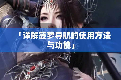 「详解菠萝导航的使用方法与功能」