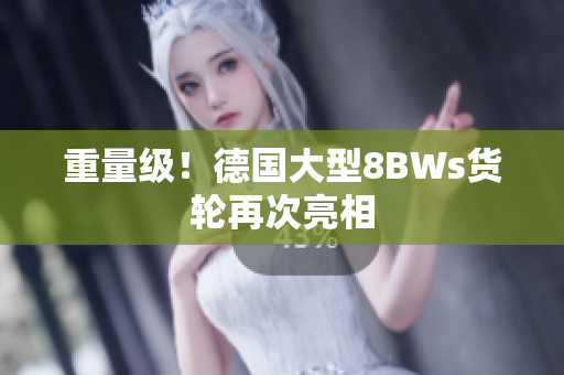 重量级！德国大型8BWs货轮再次亮相