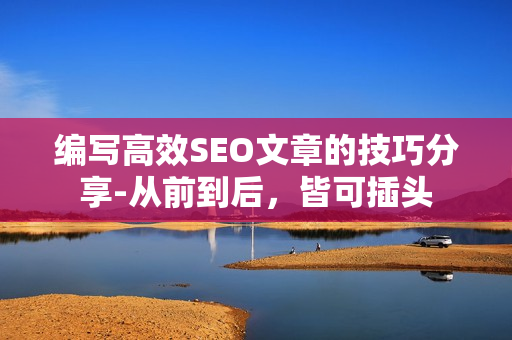 编写高效SEO文章的技巧分享-从前到后，皆可插头