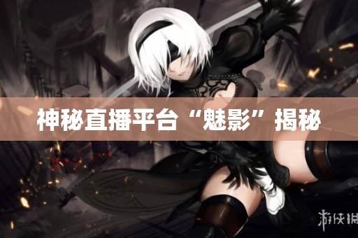 神秘直播平台“魅影”揭秘