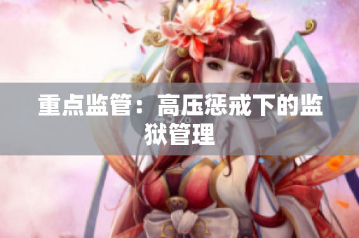 重点监管：高压惩戒下的监狱管理
