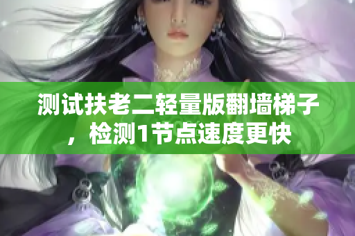 测试扶老二轻量版翻墙梯子，检测1节点速度更快