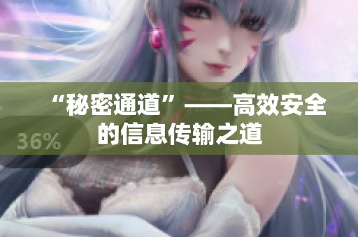 “秘密通道”——高效安全的信息传输之道