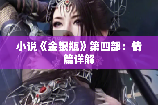 小说《金银瓶》第四部：情篇详解