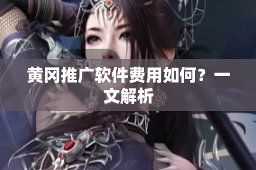 黄冈推广软件费用如何？一文解析
