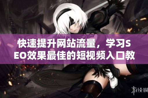 快速提升网站流量，学习SEO效果最佳的短视频入口教程