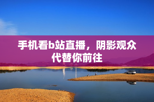 手机看b站直播，阴影观众代替你前往