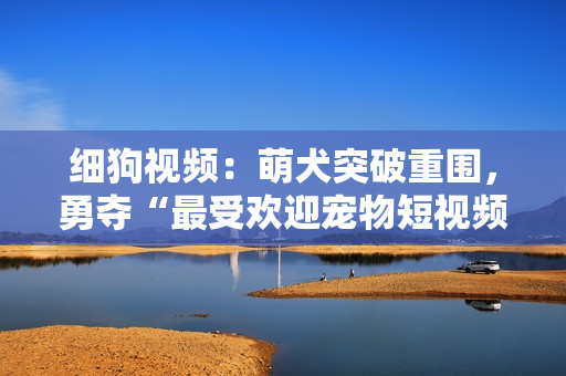 细狗视频：萌犬突破重围，勇夺“最受欢迎宠物短视频平台”称号！