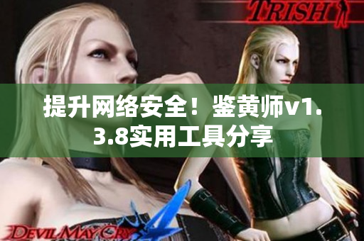 提升网络安全！鉴黄师v1.3.8实用工具分享