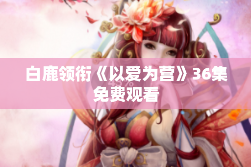 白鹿领衔《以爱为营》36集免费观看