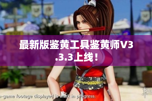 最新版鉴黄工具鉴黄师V3.3.3上线！