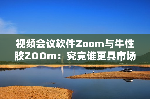 视频会议软件Zoom与牛性胶ZOOm：究竟谁更具市场竞争力？