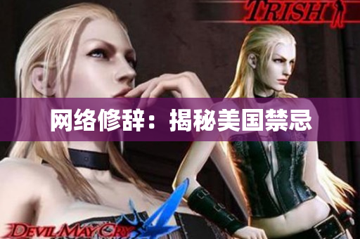 网络修辞：揭秘美国禁忌