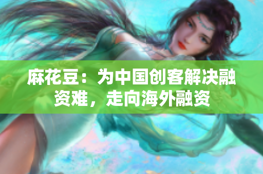 麻花豆：为中国创客解决融资难，走向海外融资