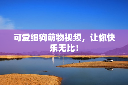 可爱细狗萌物视频，让你快乐无比！