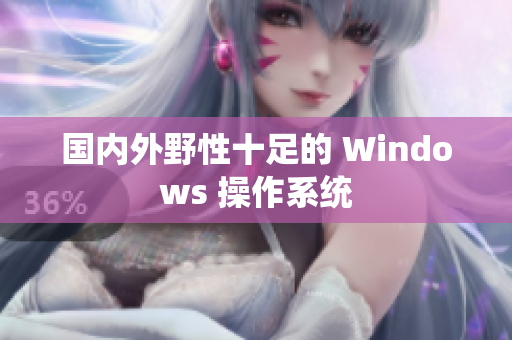 国内外野性十足的 Windows 操作系统