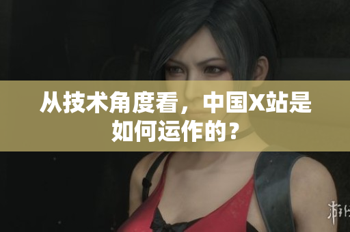 从技术角度看，中国X站是如何运作的？
