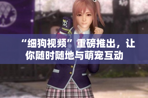 “细狗视频”重磅推出，让你随时随地与萌宠互动