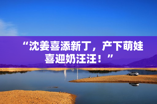“沈姜喜添新丁，产下萌娃喜迎奶汪汪！”
