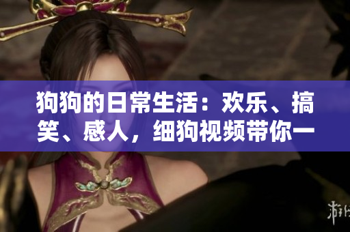 狗狗的日常生活：欢乐、搞笑、感人，细狗视频带你一一看尽！