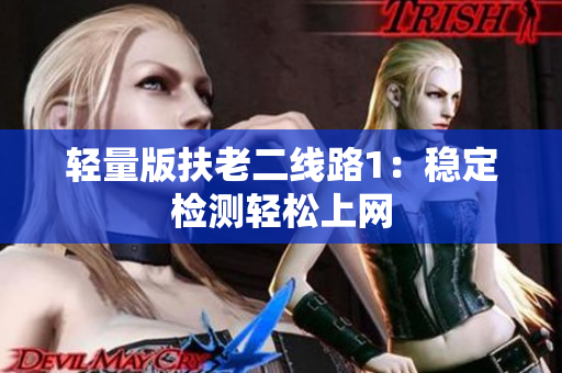 轻量版扶老二线路1：稳定检测轻松上网