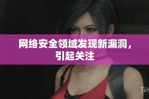 网络安全领域发现新漏洞，引起关注