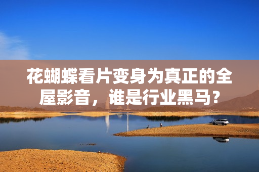 花蝴蝶看片变身为真正的全屋影音，谁是行业黑马？