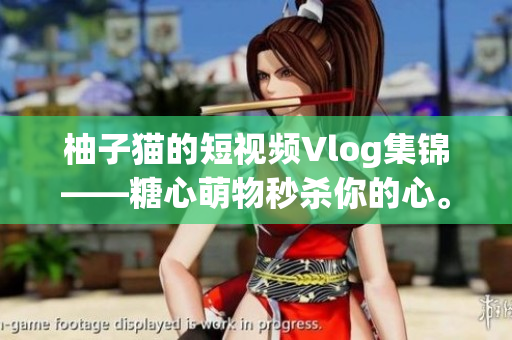 柚子猫的短视频Vlog集锦——糖心萌物秒杀你的心。