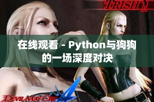 在线观看 - Python与狗狗的一场深度对决