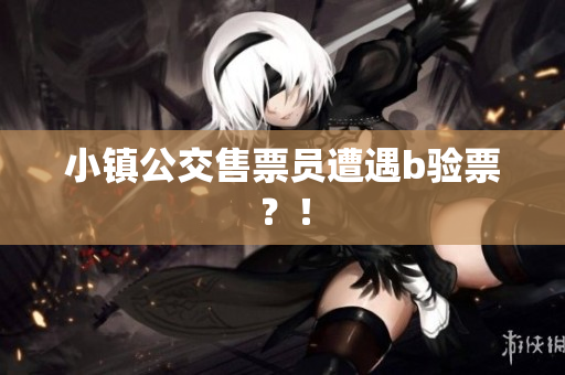 小镇公交售票员遭遇b验票？！