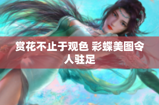 赏花不止于观色 彩蝶美图令人驻足