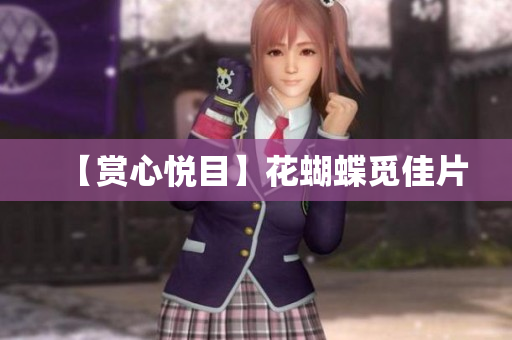 【赏心悦目】花蝴蝶觅佳片