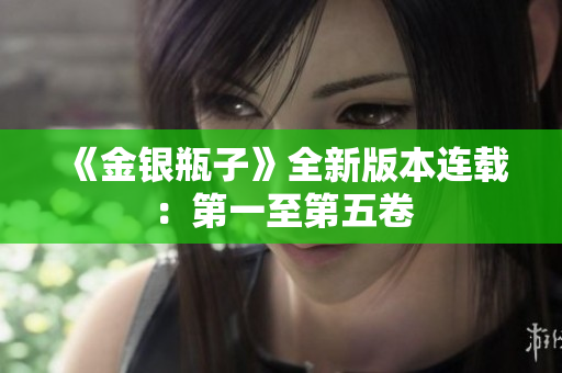 《金银瓶子》全新版本连载：第一至第五卷