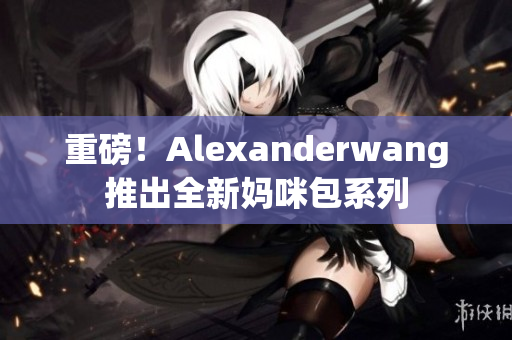 重磅！Alexanderwang推出全新妈咪包系列